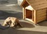 移動が出来るキャスター付の犬小屋です。小屋ごと移動してひなたぼっ... ラブラドールの犬小屋
